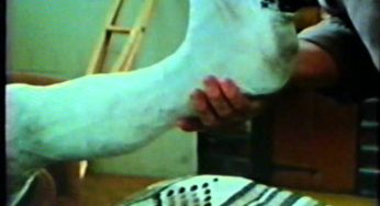 seventies llwc.wmv